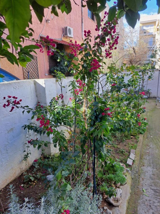 Villa Pine Trees 55 Atenas Exterior foto